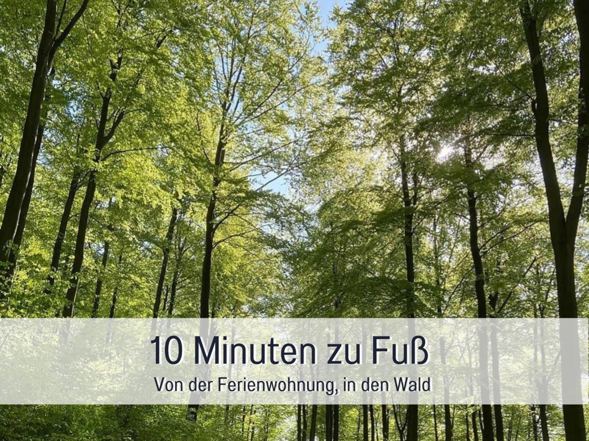 Am Feldrain - Urlaub Mit Hund Im Weserbergland Munden  ภายนอก รูปภาพ
