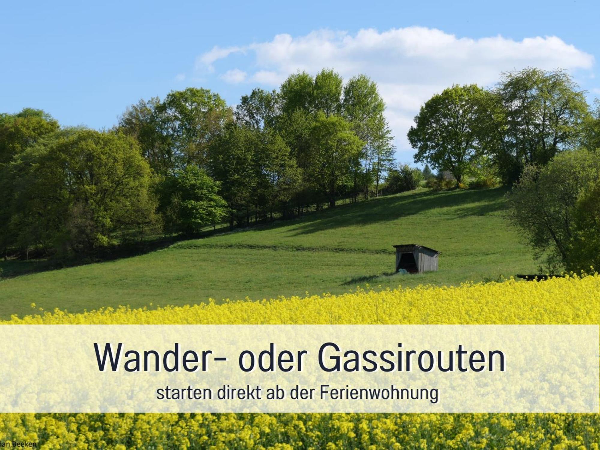 Am Feldrain - Urlaub Mit Hund Im Weserbergland Munden  ภายนอก รูปภาพ
